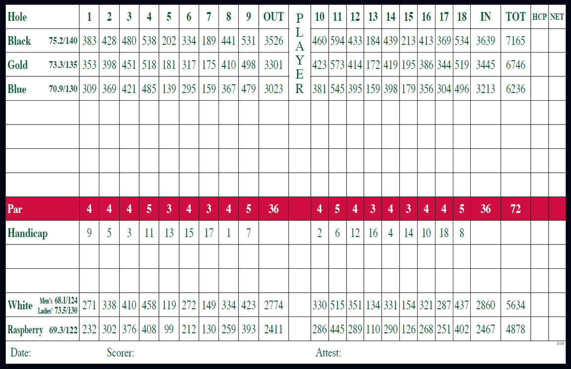 scorecard